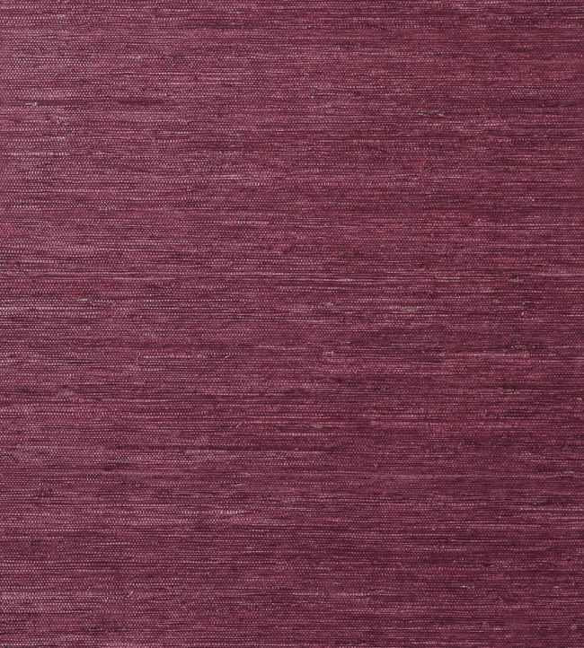 Maranta Arrowroot Wallpaper - Purple