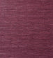 Maranta Arrowroot Wallpaper - Purple