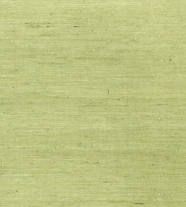 Maranta Arrowroot Wallpaper - Green