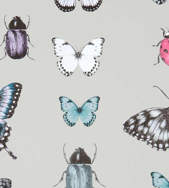 Papilio Wallpaper - Gray 