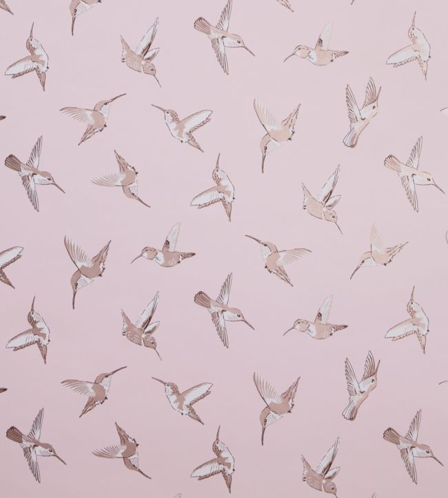 Hummingbird Wallpaper - Pink