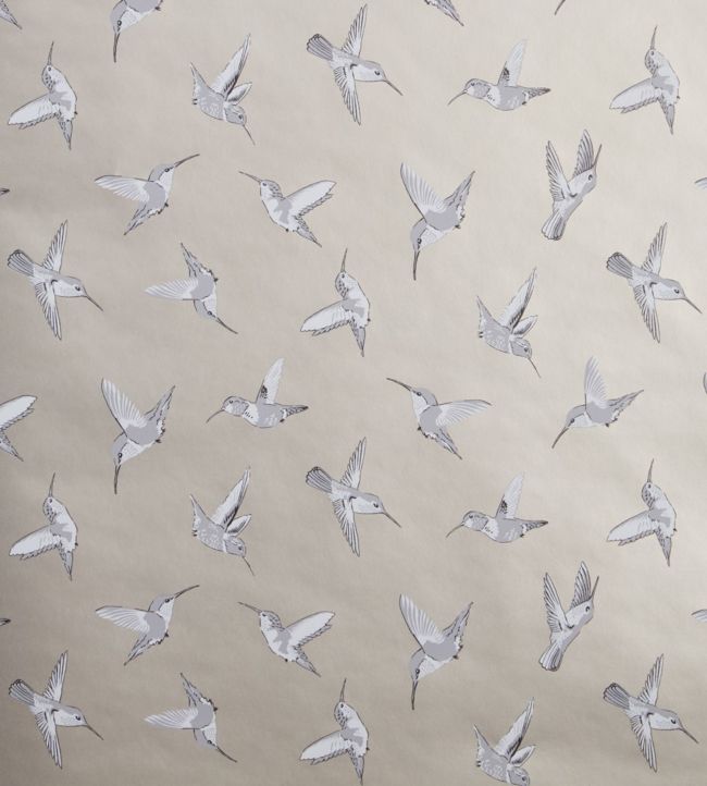 Hummingbird Wallpaper - Sand