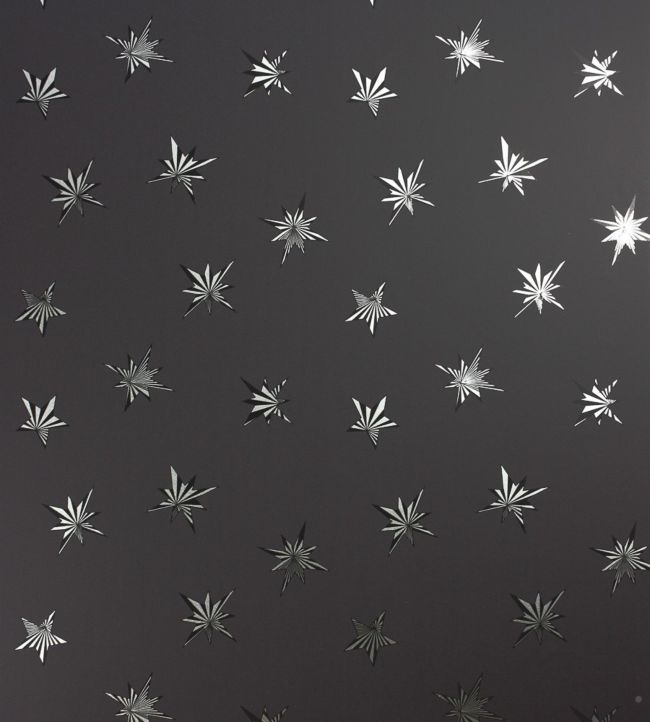 Sirius Wallpaper - Black 