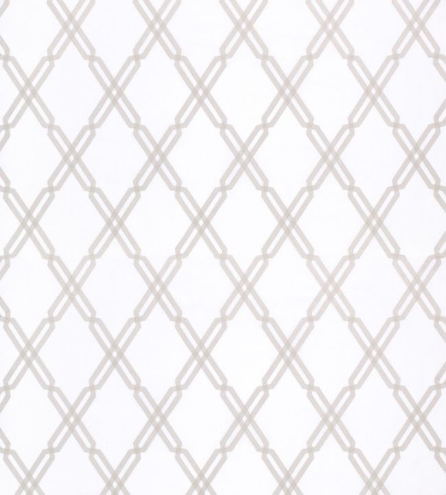 Fusion Trellis Embroidery Fabric - White 