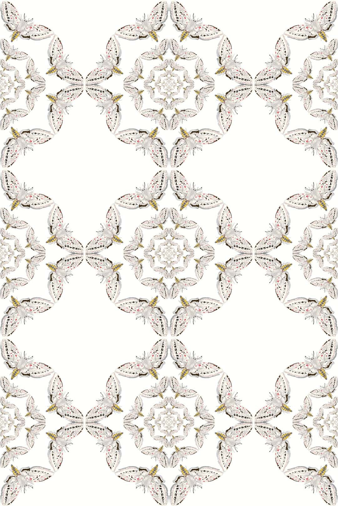 White Moth Circle Wallpaper - White