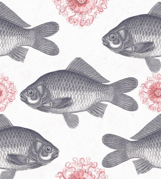 Fish Wallpaper - Gray