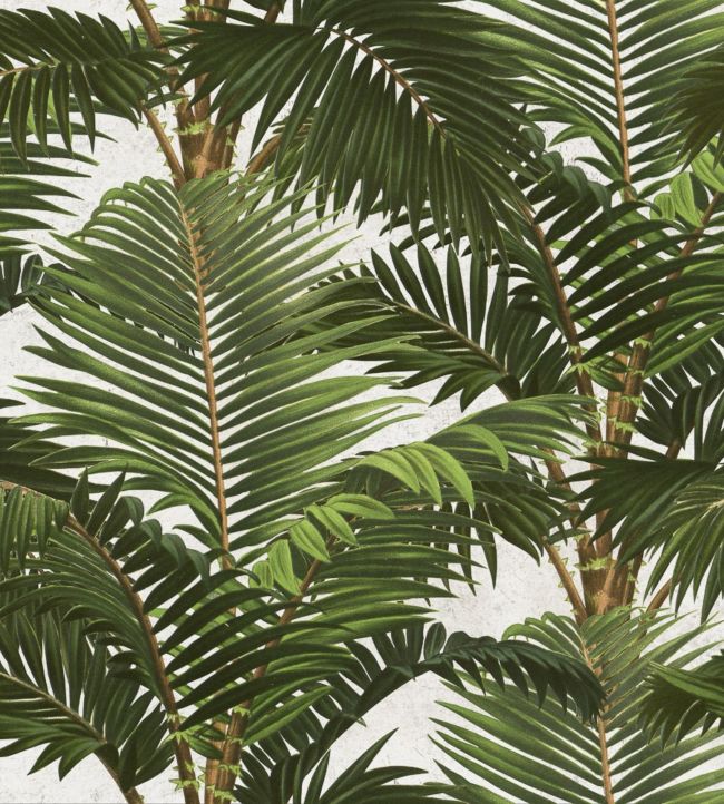 Jardin Tropical Wallpaper - Green