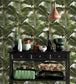 Jardin Tropical Room Wallpaper - Green