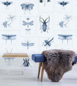 Entomology Room Wallpaper - Blue