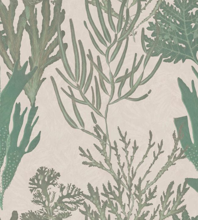 Light Corals Wallpaper - Green