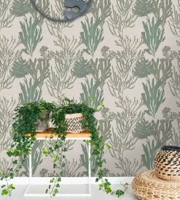 Light Corals Room Wallpaper - Green