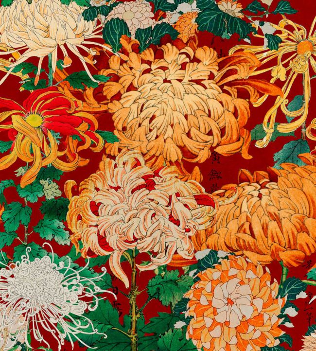 Chrysanthemums Wallpaper - Red