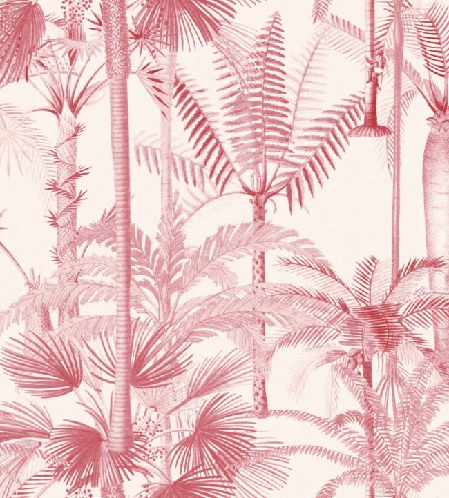 Palmera Cubana Wallpaper - Pink