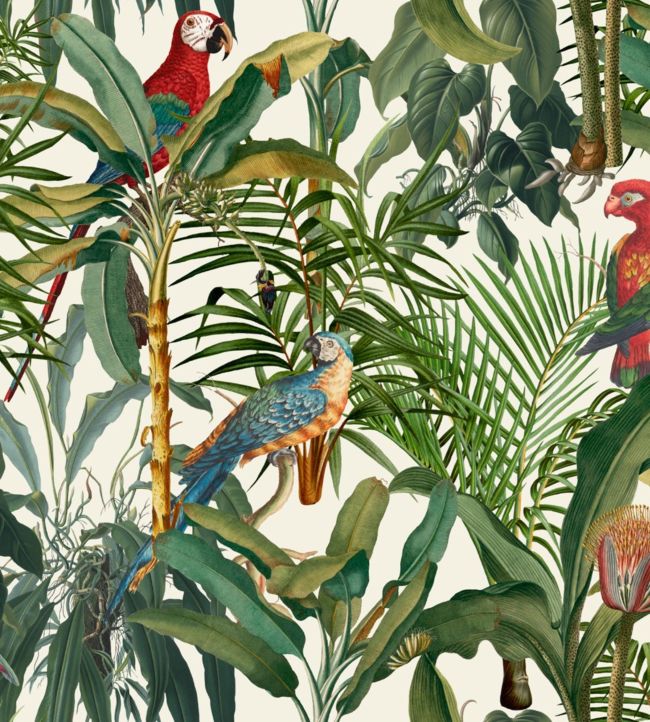 Parrots Of Brasil Wallpaper - Green