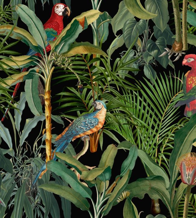 Parrots Of Brasil Wallpaper - Green