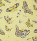 Butterfly House Nursey Wallpaper - Gold